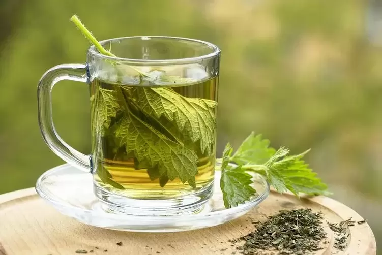 decoction of herbs for an alcoholic diet