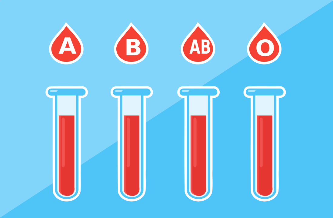 There are 4 blood groups A, B, AB, O